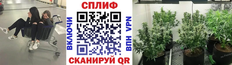 Шишки марихуана конопля  MEGA tor  Таштагол 